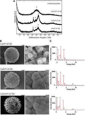 Optimization of a tunable process for rapid production of calcium phosphate microparticles using a droplet-based microfluidic platform